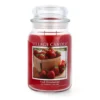 Village Candle Fresh Strawberries Duftkerze Großes Glas 602 G