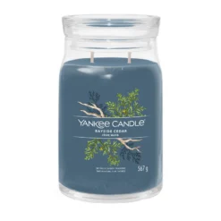 Hautpflege Duft Angebote Store 20 Yankee Candle Bayside Cedar Signature Duftkerze Großes Glas 567 G